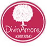 Divin Amore