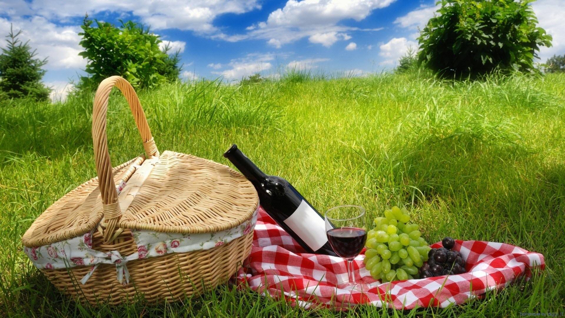 Cantine Aperte a Pasqua