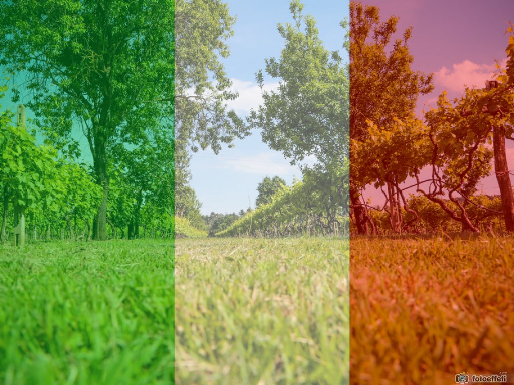fotoeffetti.com__final_304240565032566450_