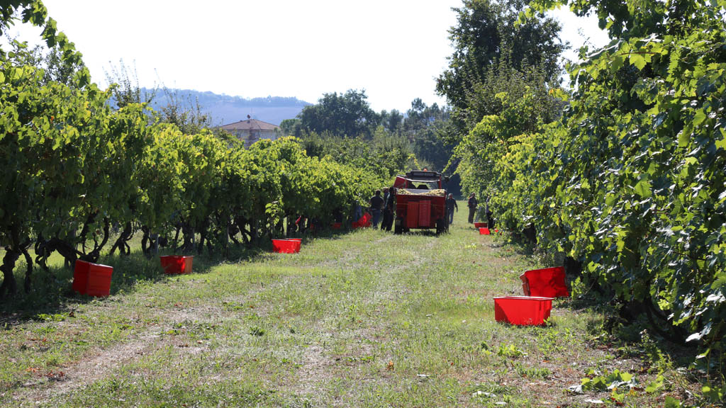 fattoria_2107