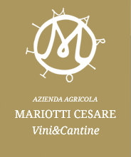 Cantine Mariotti